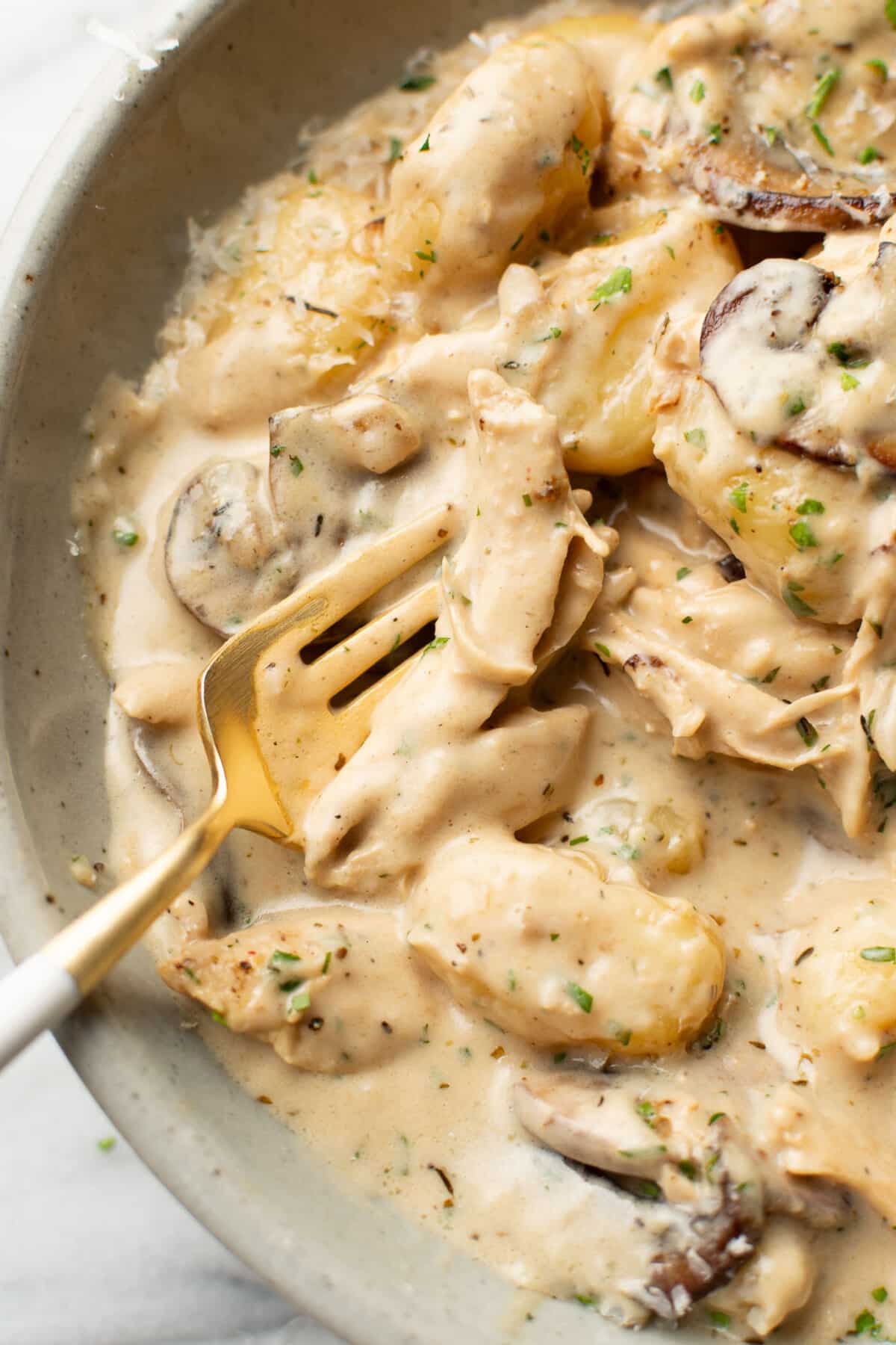 closeup of a bowl of chicken mushroom white wine gnocchi with a fork