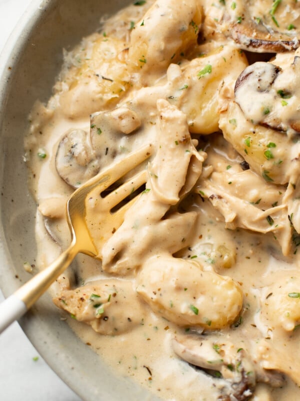 closeup of a bowl of chicken mushroom white wine gnocchi with a fork