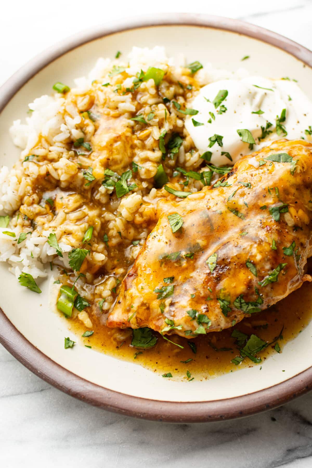 a plate with green chile chicken and rice