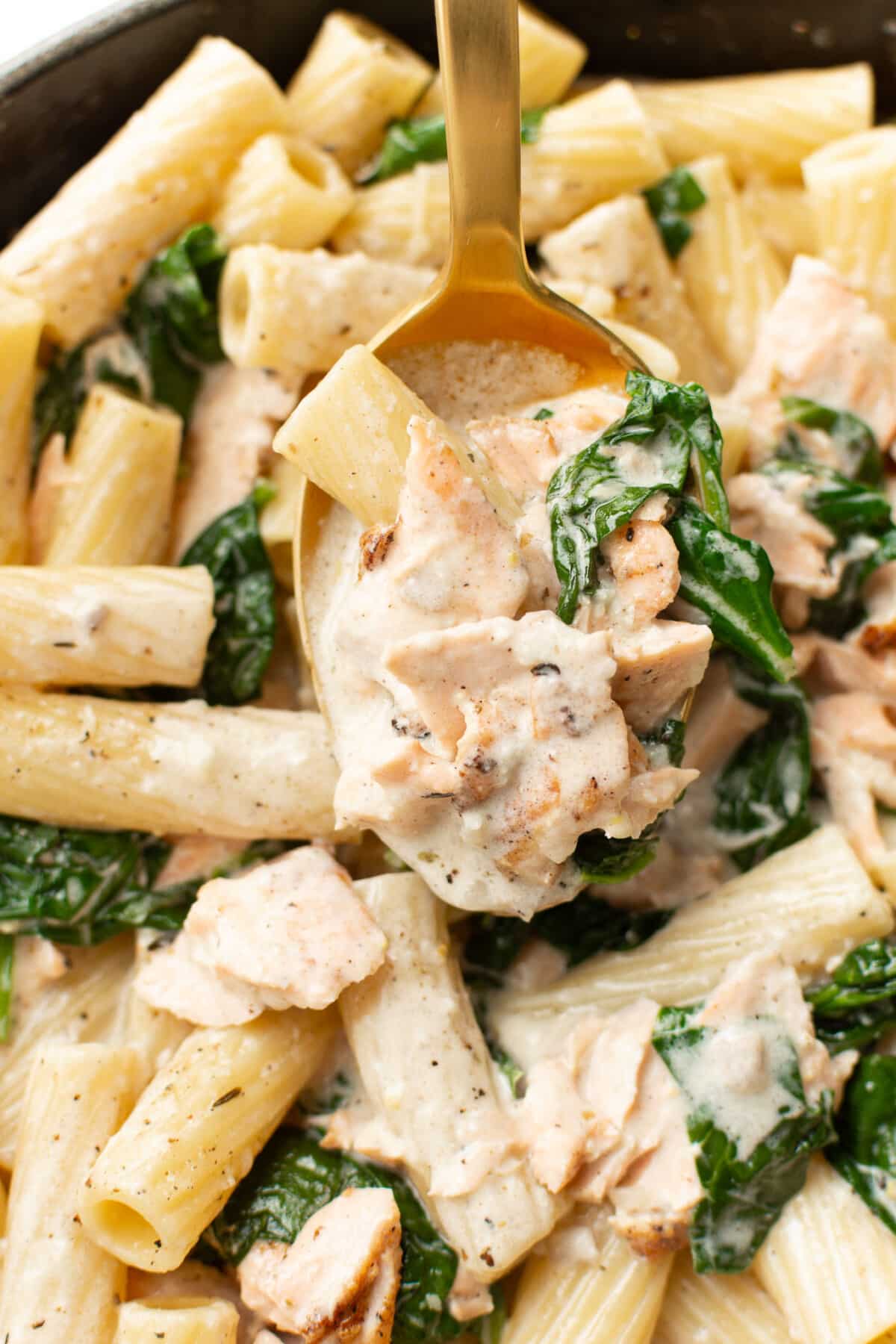 closeup of a serving spoon with lemon spinach salmon pasta